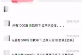 雅江雅江的要账公司在催收过程中的策略和技巧有哪些？